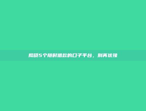 揭晓5个随时借款的口子平台，别再犹豫