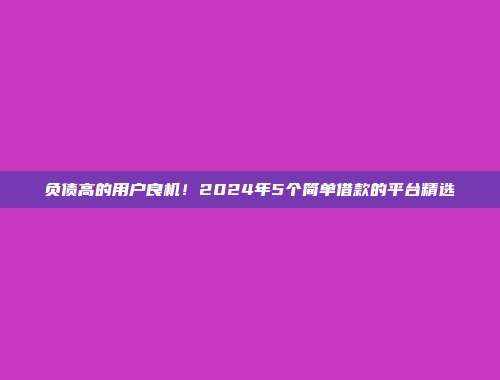 负债高的用户良机！2024年5个简单借款的平台精选