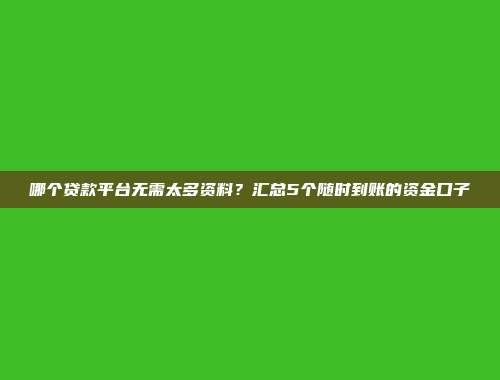 哪个贷款平台无需太多资料？汇总5个随时到账的资金口子