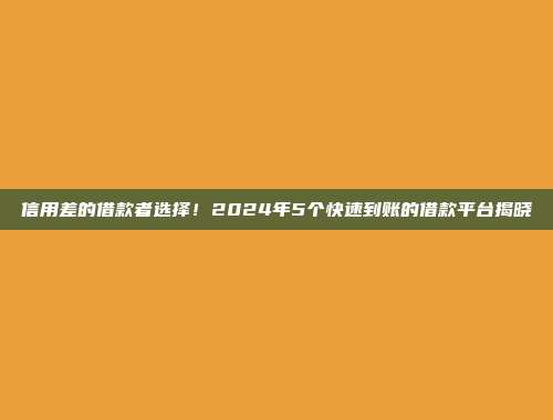 信用差的借款者选择！2024年5个快速到账的借款平台揭晓