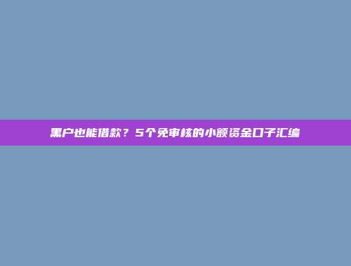 黑户也能借款？5个免审核的小额资金口子汇编