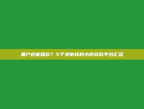 黑户也能借款？5个免审核的小额放款平台汇总