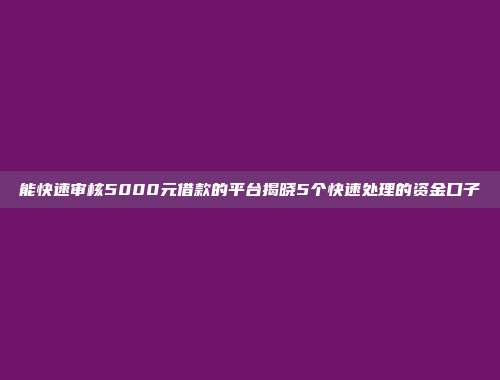 能快速审核5000元借款的平台揭晓5个快速处理的资金口子