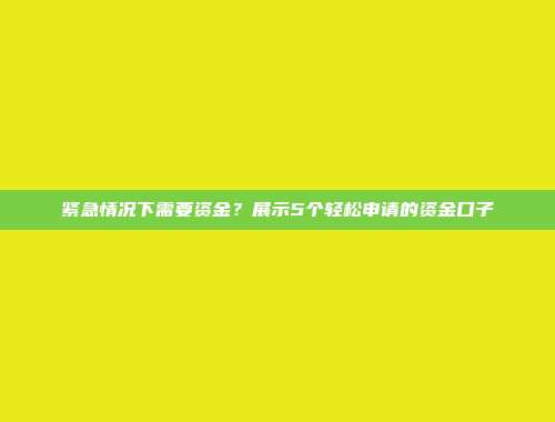 紧急情况下需要资金？展示5个轻松申请的资金口子