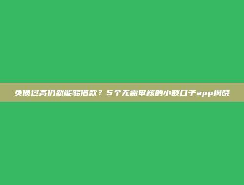 负债过高仍然能够借款？5个无需审核的小额口子app揭晓