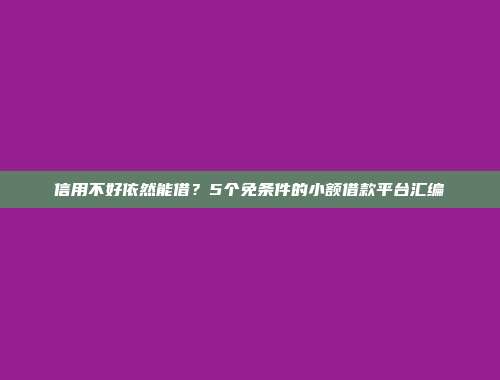 信用不好依然能借？5个免条件的小额借款平台汇编