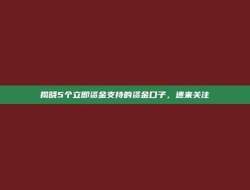 揭晓5个立即资金支持的资金口子，速来关注