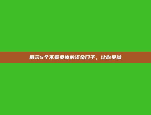 展示5个不看负债的资金口子，让你受益