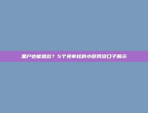 黑户也能借款？5个免审核的小额网贷口子展示