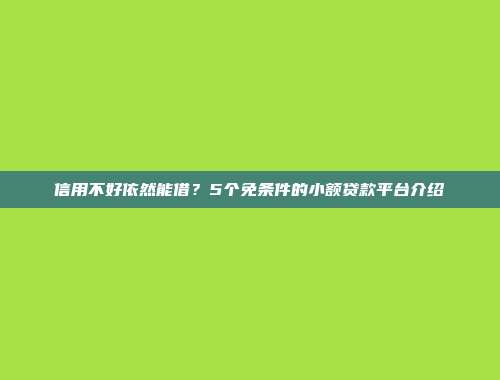 信用不好依然能借？5个免条件的小额贷款平台介绍