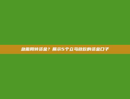 急需周转资金？展示5个立马放款的资金口子