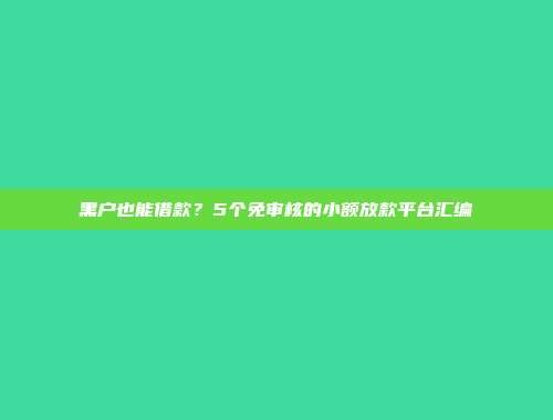 黑户也能借款？5个免审核的小额放款平台汇编