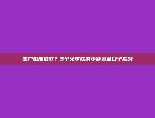 黑户也能借款？5个免审核的小额资金口子揭晓