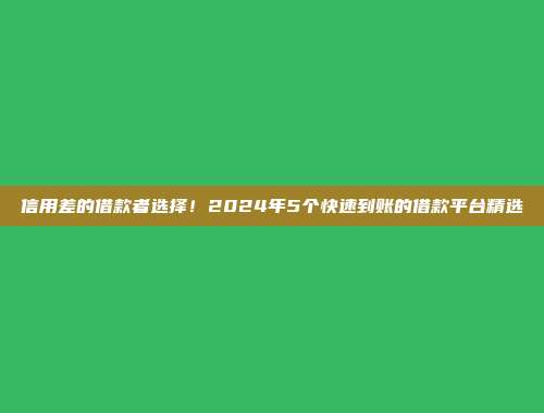 信用差的借款者选择！2024年5个快速到账的借款平台精选