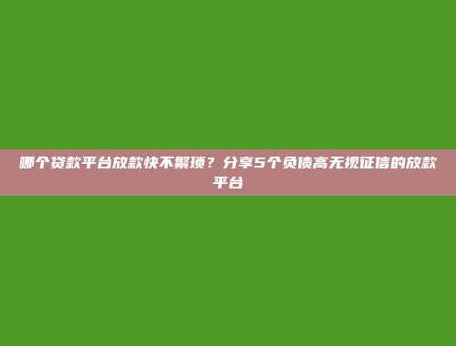 哪个贷款平台放款快不繁琐？分享5个负债高无视征信的放款平台