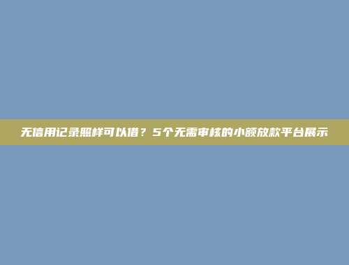 无信用记录照样可以借？5个无需审核的小额放款平台展示