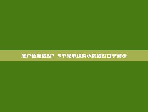 黑户也能借款？5个免审核的小额借款口子展示