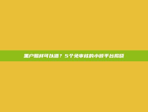 黑户照样可以借？5个免审核的小额平台揭晓