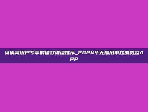 负债高用户专享的借款渠道推荐_2024年无信用审核的贷款APP