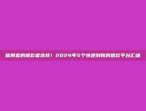 信用差的借款者选择！2024年5个快速到账的借款平台汇编