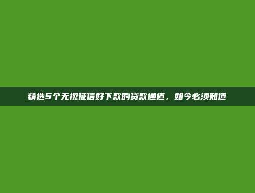 精选5个无视征信好下款的贷款通道，如今必须知道