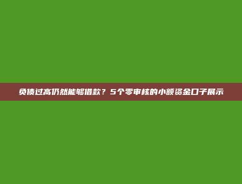 负债过高仍然能够借款？5个零审核的小额资金口子展示