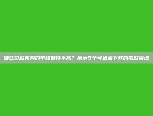 哪些贷款机构的审核条件不高？展示5个可迅速下款的借款渠道