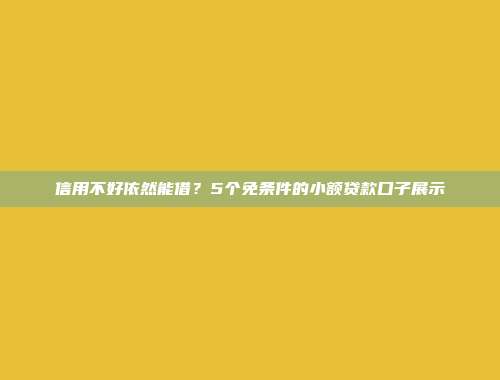 信用不好依然能借？5个免条件的小额贷款口子展示