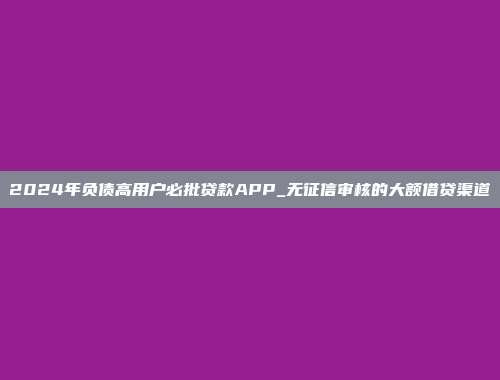 2024年负债高用户必批贷款APP_无征信审核的大额借贷渠道