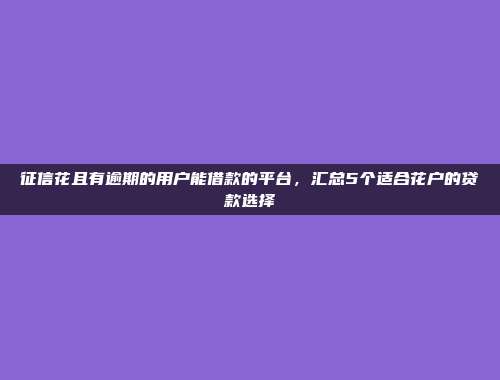 信用不好的人福音！今年5个快速放款的贷款平台整理