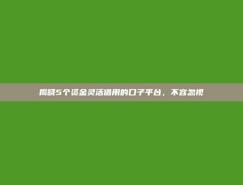 揭晓5个资金灵活借用的口子平台，不容忽视