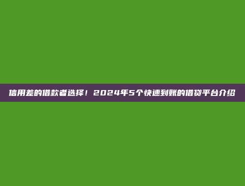 信用差的借款者选择！2024年5个快速到账的借贷平台介绍