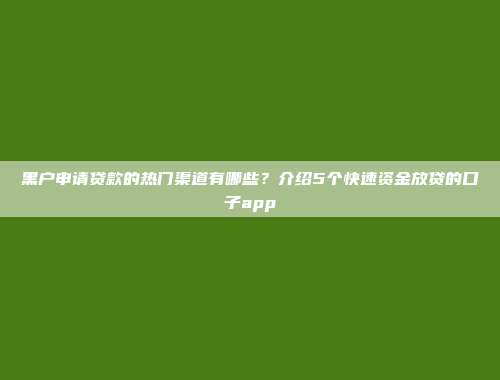 黑户申请贷款的热门渠道有哪些？介绍5个快速资金放贷的口子app