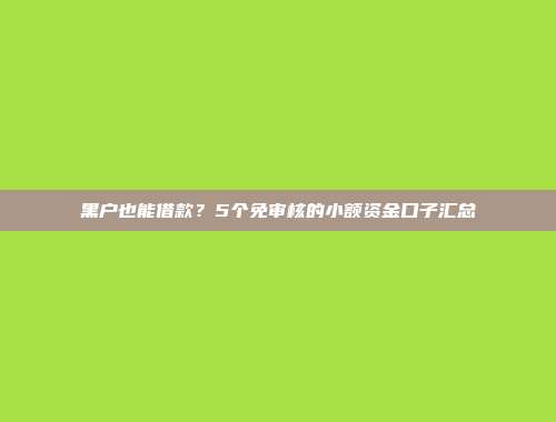 黑户也能借款？5个免审核的小额资金口子汇总