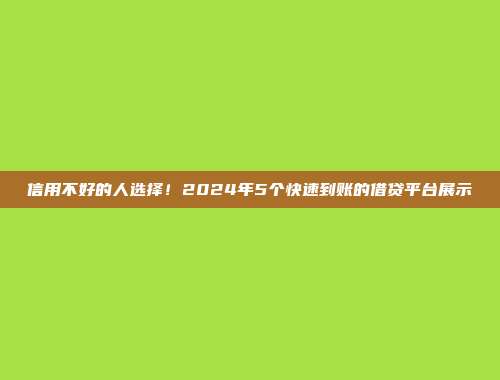 信用不好的人选择！2024年5个快速到账的借贷平台展示