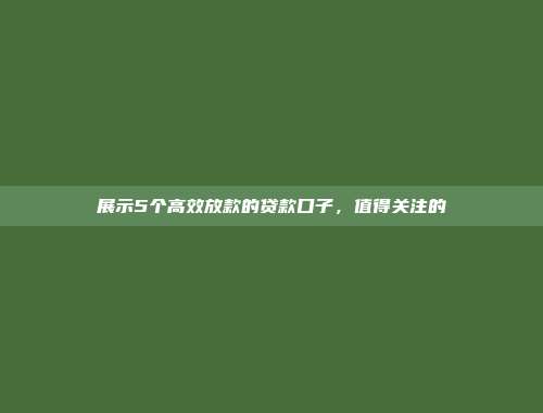 展示5个高效放款的贷款口子，值得关注的