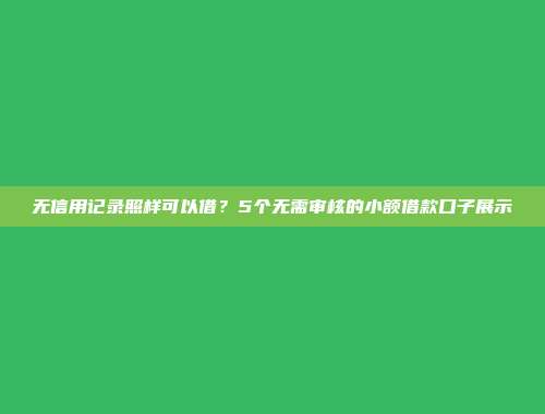 无信用记录照样可以借？5个无需审核的小额借款口子展示