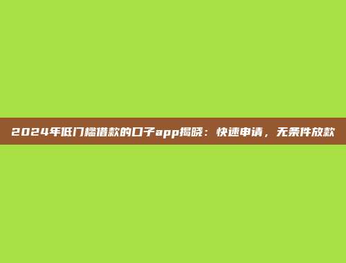 2024年低门槛借款的口子app揭晓：快速申请，无条件放款