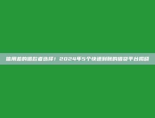 信用差的借款者选择！2024年5个快速到账的借贷平台揭晓