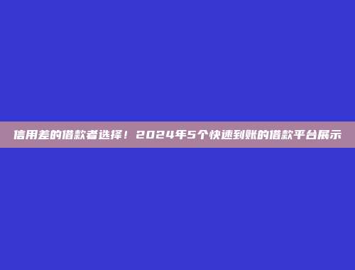 信用差的借款者选择！2024年5个快速到账的借款平台展示