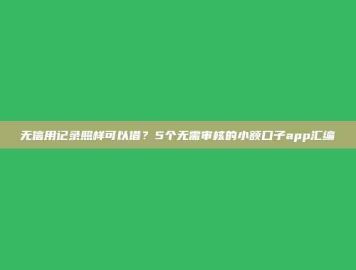 无信用记录照样可以借？5个无需审核的小额口子app汇编