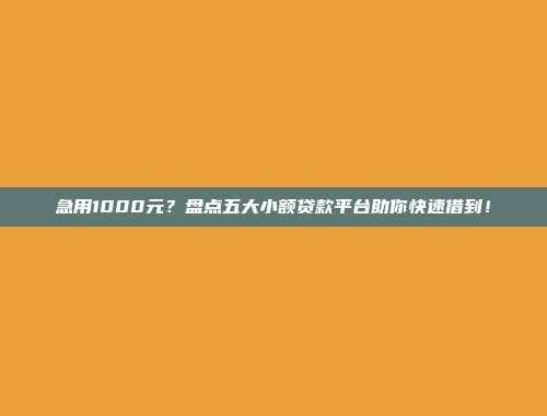 急用1000元？盘点五大小额贷款平台助你快速借到！