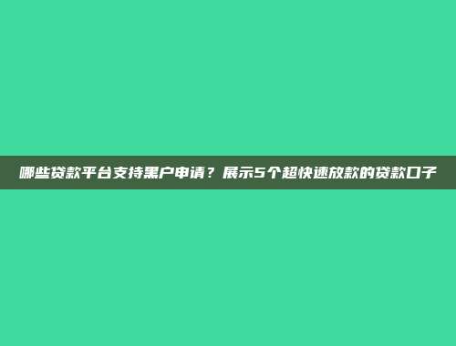 哪些贷款平台支持黑户申请？展示5个超快速放款的贷款口子