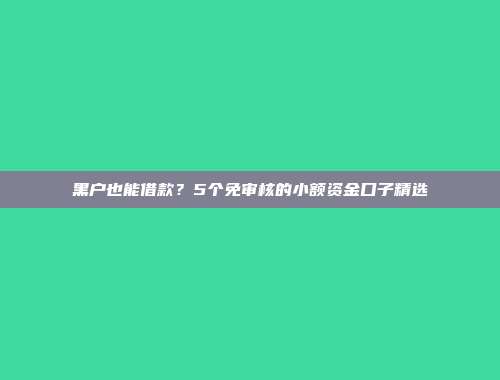 黑户也能借款？5个免审核的小额资金口子精选