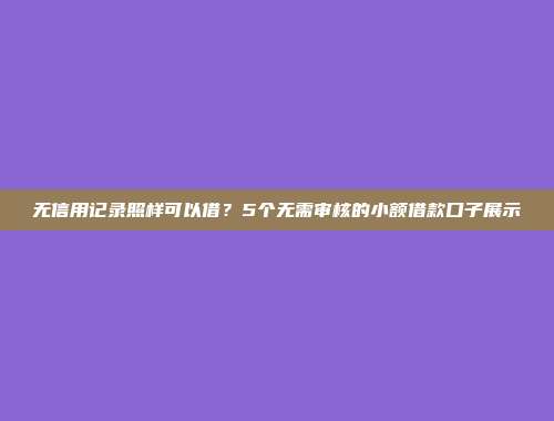 无信用记录照样可以借？5个无需审核的小额借款口子展示