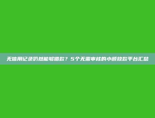 无信用记录仍然能够借款？5个无需审核的小额放款平台汇总