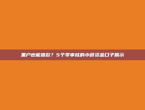 黑户也能借款？5个零审核的小额资金口子展示