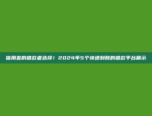 信用差的借款者选择！2024年5个快速到账的借款平台展示