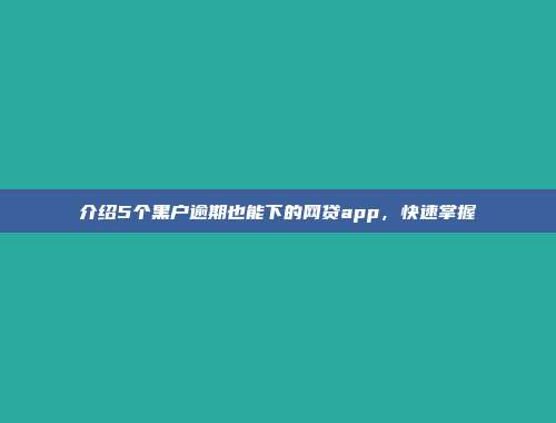 介绍5个黑户逾期也能下的网贷app，快速掌握