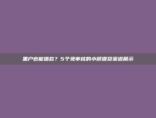 黑户也能借款？5个免审核的小额借贷渠道展示